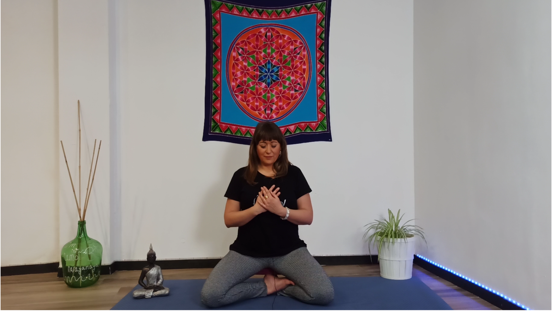 MEDITACIÓN. Habitando el sentir